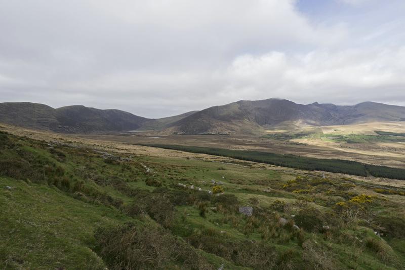 Cjp_2017-04-11_095354 (2).jpg